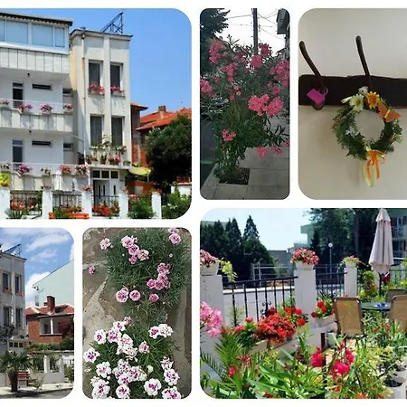 Vendégház Margarita