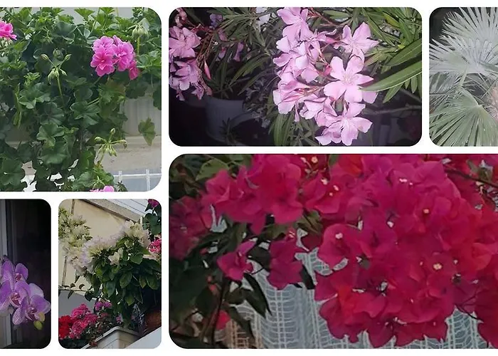 Konukevi Margarita 3*